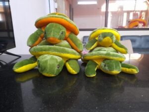 Tortoise Soft Toy