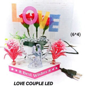 Love Couple LED Show Piece